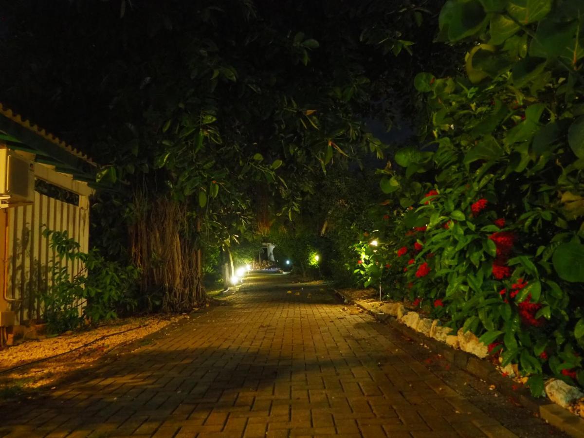 Kas Di Bami A-186 Op Seru Coral Resort - Ruim Appartement Met Groot Zwembad En Tropische Tuin Willemstad Dış mekan fotoğraf